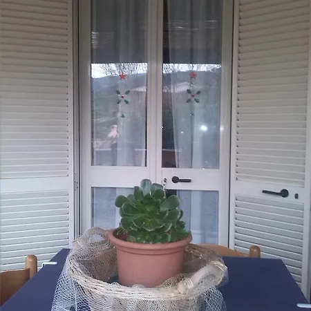 Claudia Rio Appartement *