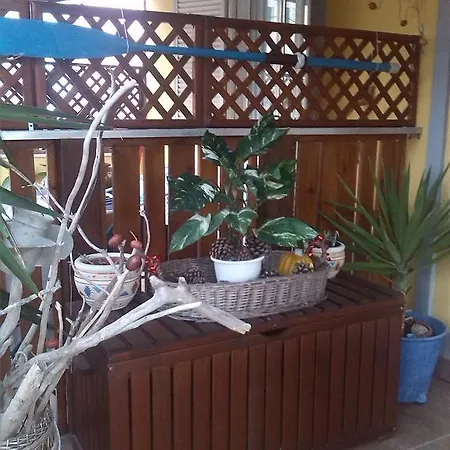 Claudia Rio * Rio Marina