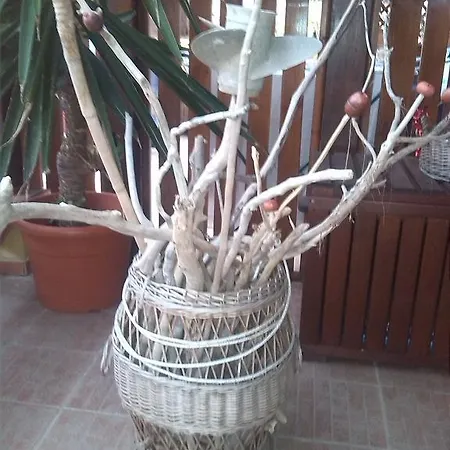 Claudia Rio Appartement *