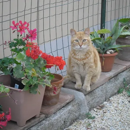 Claudia Rio * Rio Marina