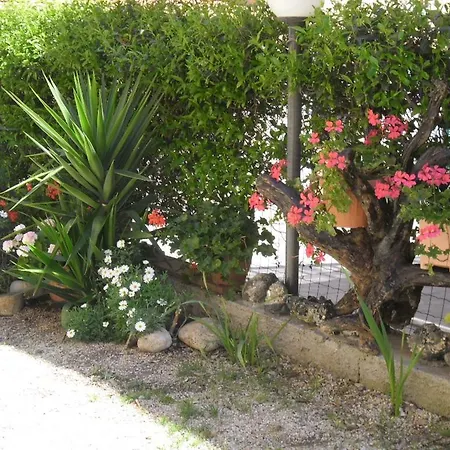 Claudia Rio Rio Marina