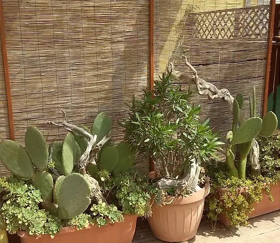 Апартаменты Claudia Rio