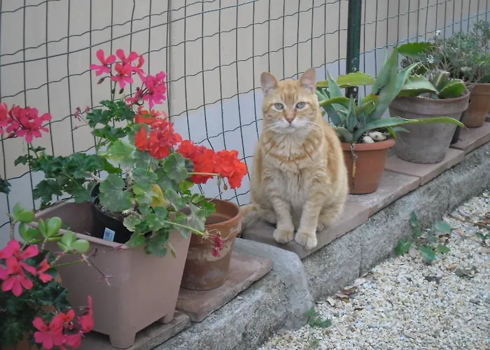 Claudia Rio * Рио-Марина