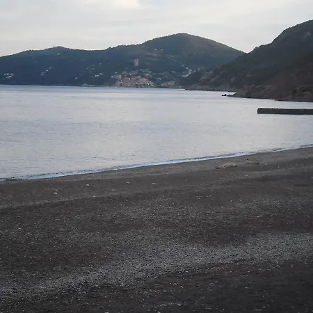 Claudia Rio Rio Marina