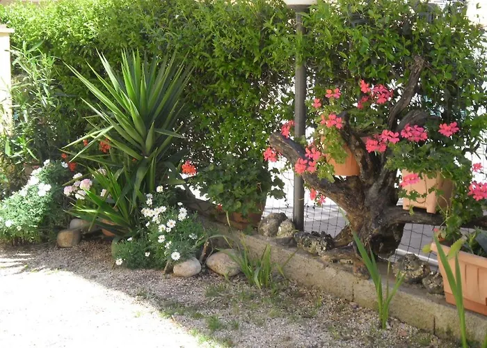 Claudia Rio Rio Marina